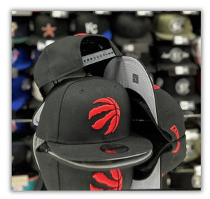 Toronto Raptors Bk-Snapback