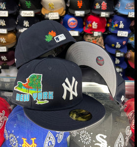 New York Yankees Stateview