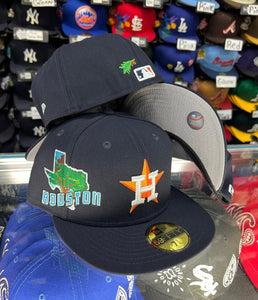 Houston Astros Stateview